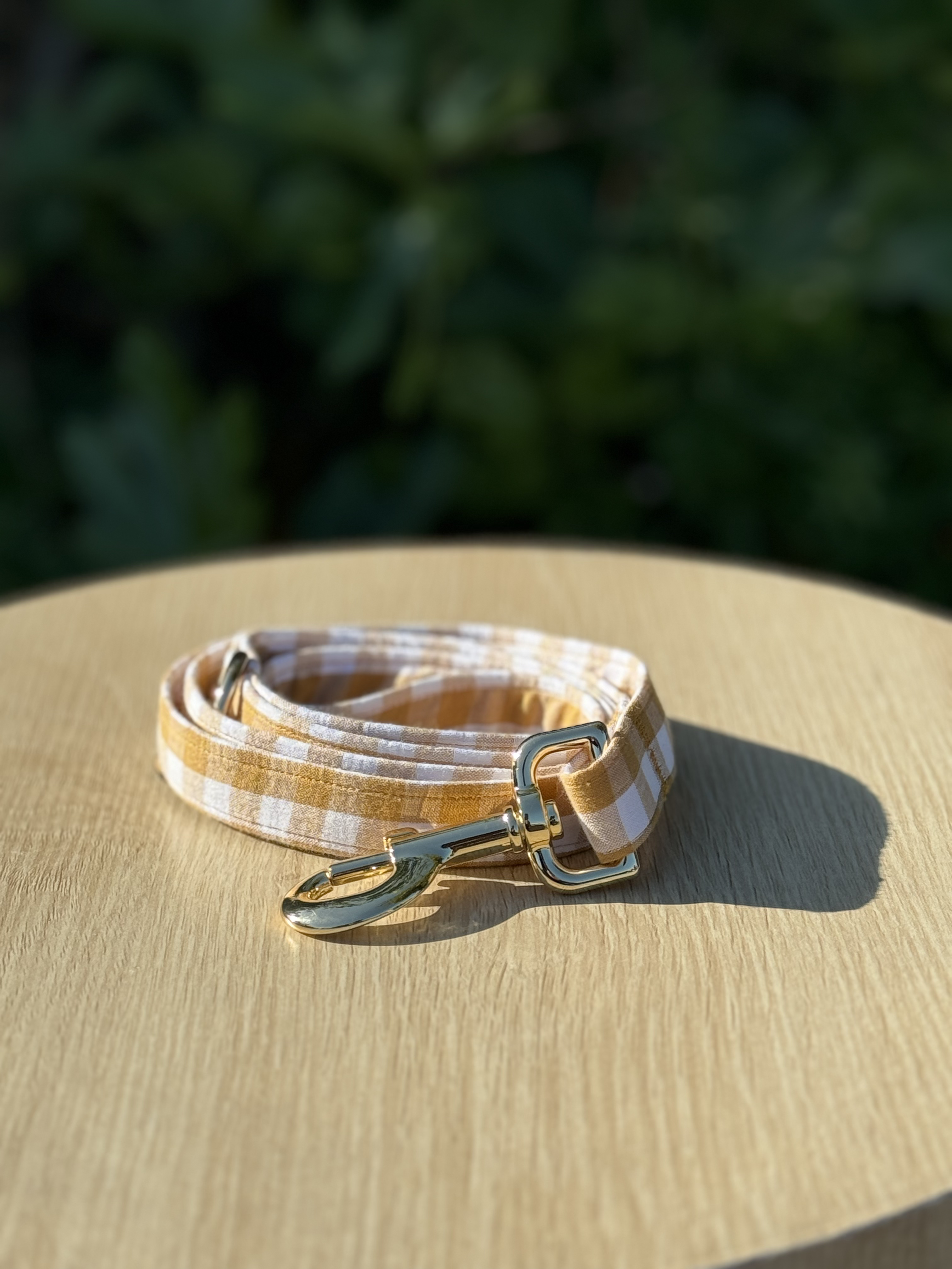 'Mango Gingham' Lead