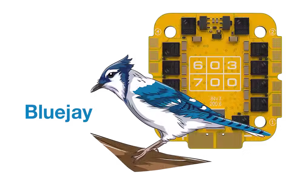 Bluejay.avif