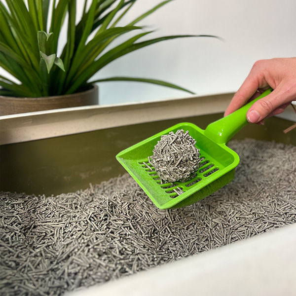 Thumbnail: Tofu Litter