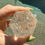 Thumbnail: Clear Quartz with Garden Inclusions