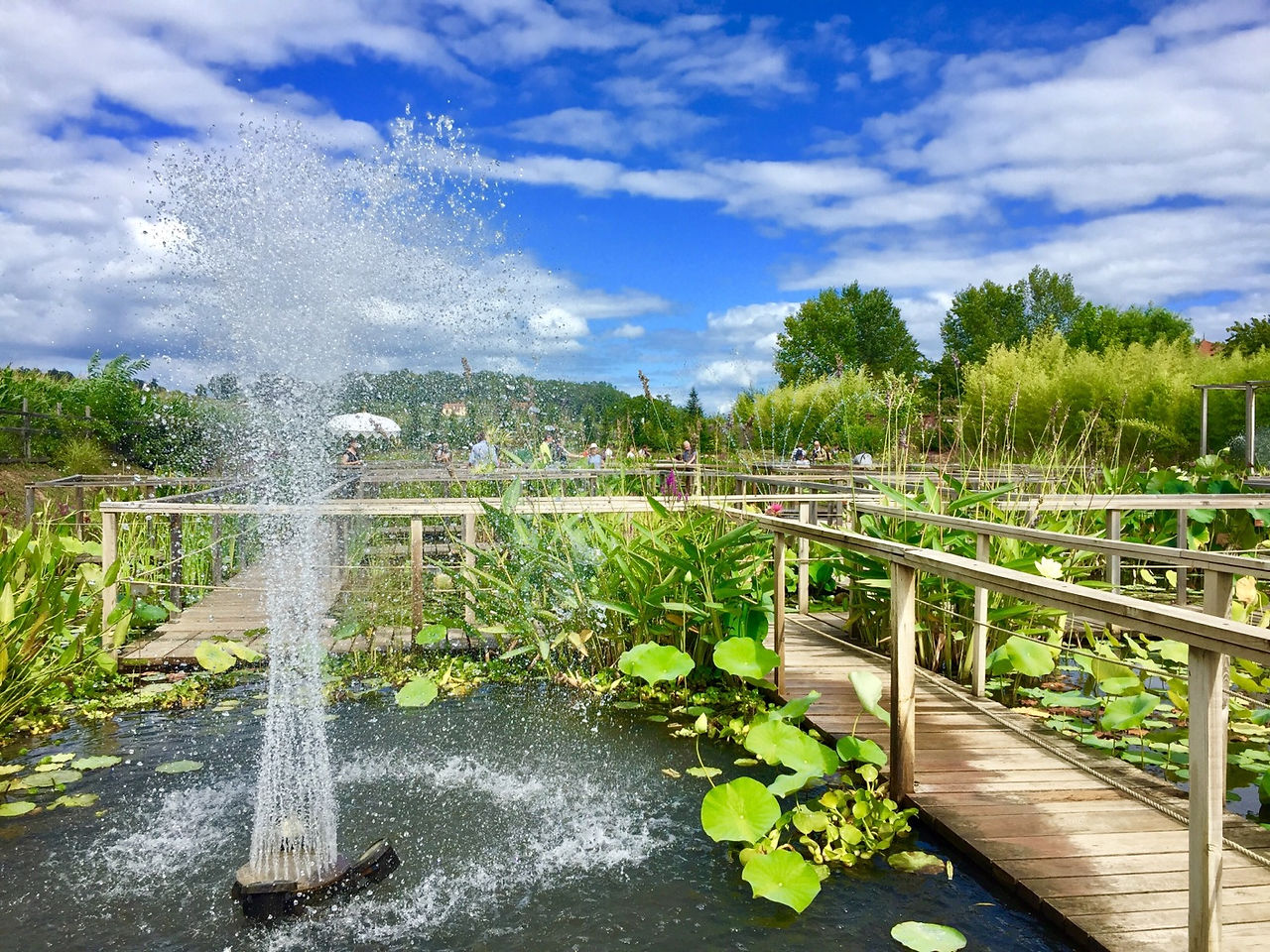 Jardin d'eau