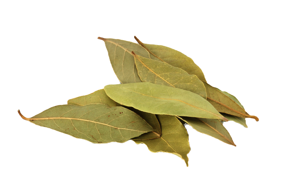Bay Leaves