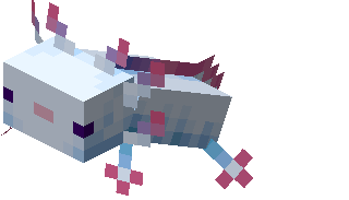 ﹒⌗﹒axolotl ⸝⸝..webp