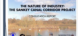 Sankey report cover.PNG