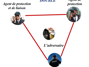 LES TECHNIQUES D'APPROCHES : ACCUEIL, TRIANGULATION LORS DES INTERVENTIONS.