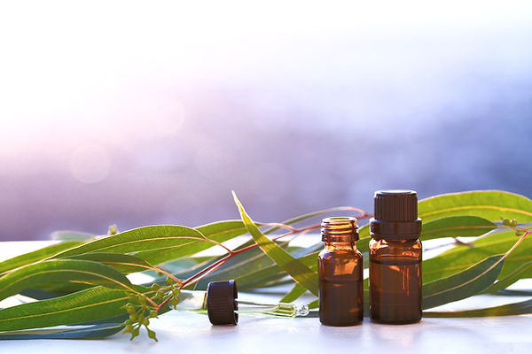 Eucalyptus%20aromatherapy%20essential%20oils%20in%20bottles_edited.jpg