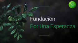 Diapositiva1.PNG