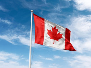 Roots of Identity: Reading Canada Through the Maple Leaf