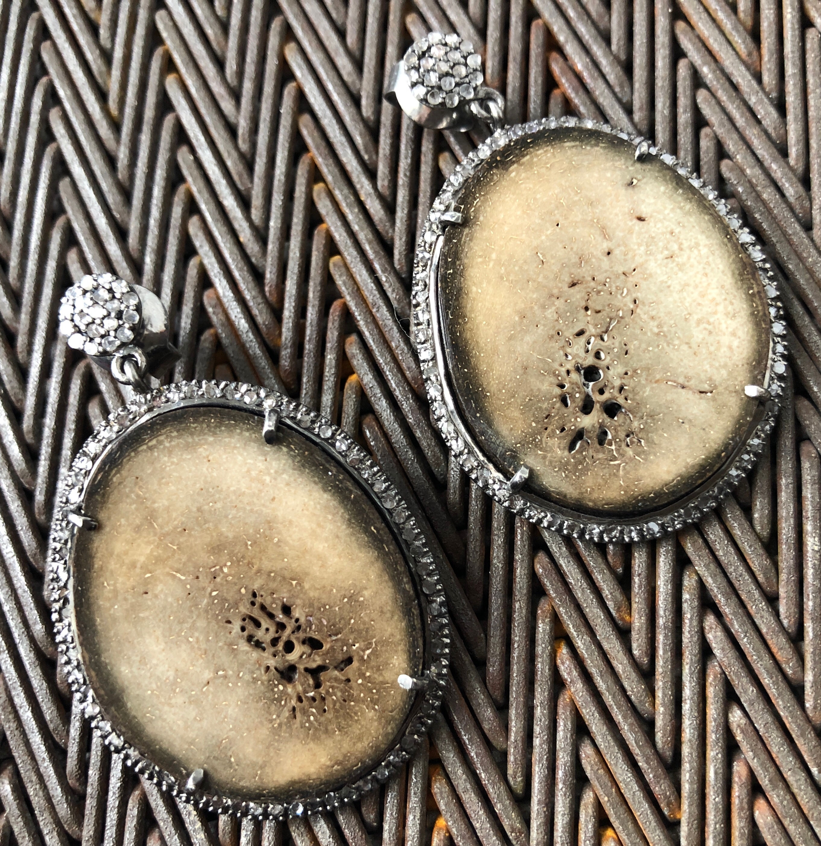 FOSSILIZED WALRUS BONE, DIAMONDS