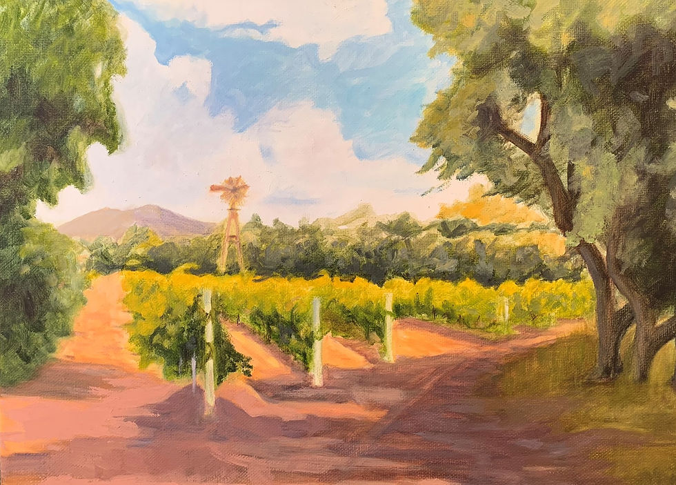 Bernardo Vineyard