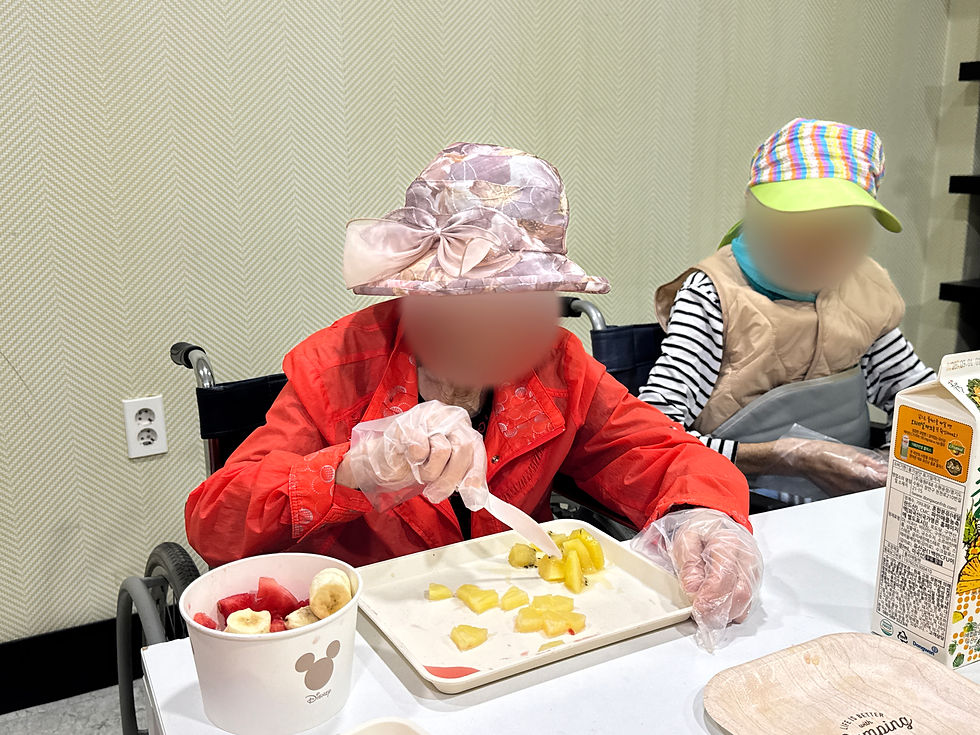 © 선진요양원