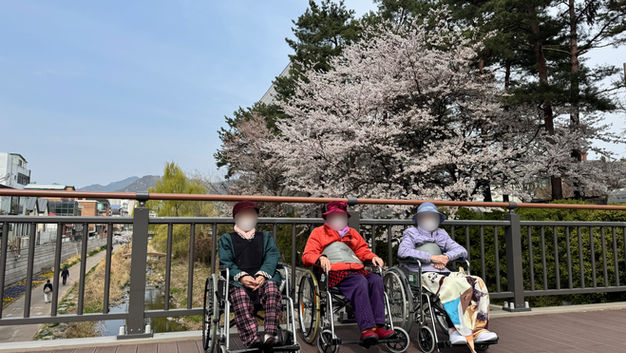 함께여서 더 기다려진 계절, 2026년 봄 산책 모습