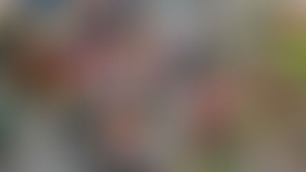 걷고 또 걷는 선진요양원의 일상, 공원과 시장을 다녀왔습니다.