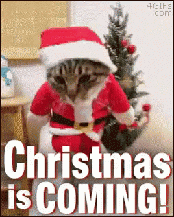 343882-Christmas-Is-Coming-Gif.gif