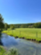 IMG_1297.jpeg
