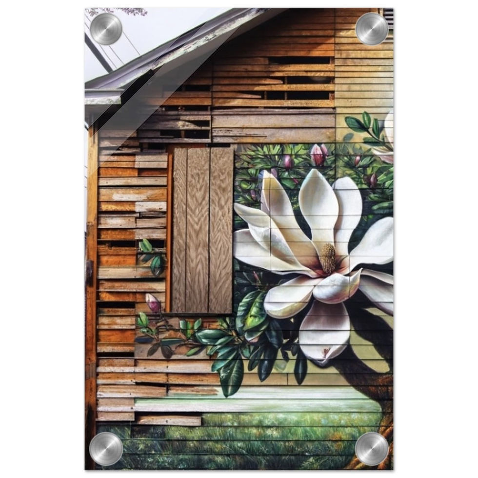 Thumbnail: Hope- Acrylic Print - panel 1 of 2
