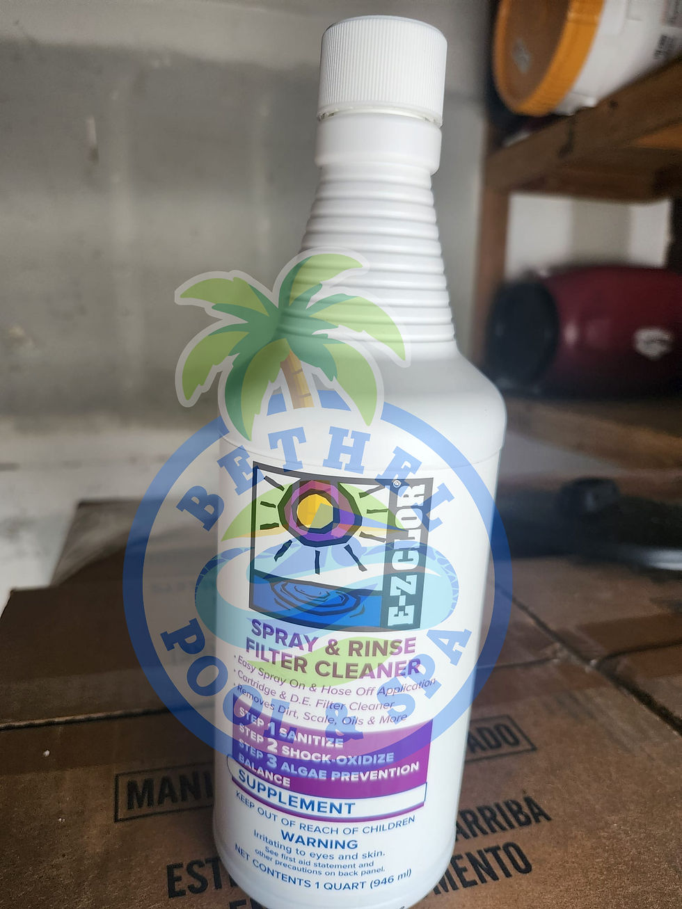 Spray & Rinse Filter Cleaner