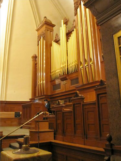 Image-1 (1) copy