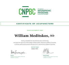 MEDITSKOS, William - Acupuncture_certificate_page-0001.jpg