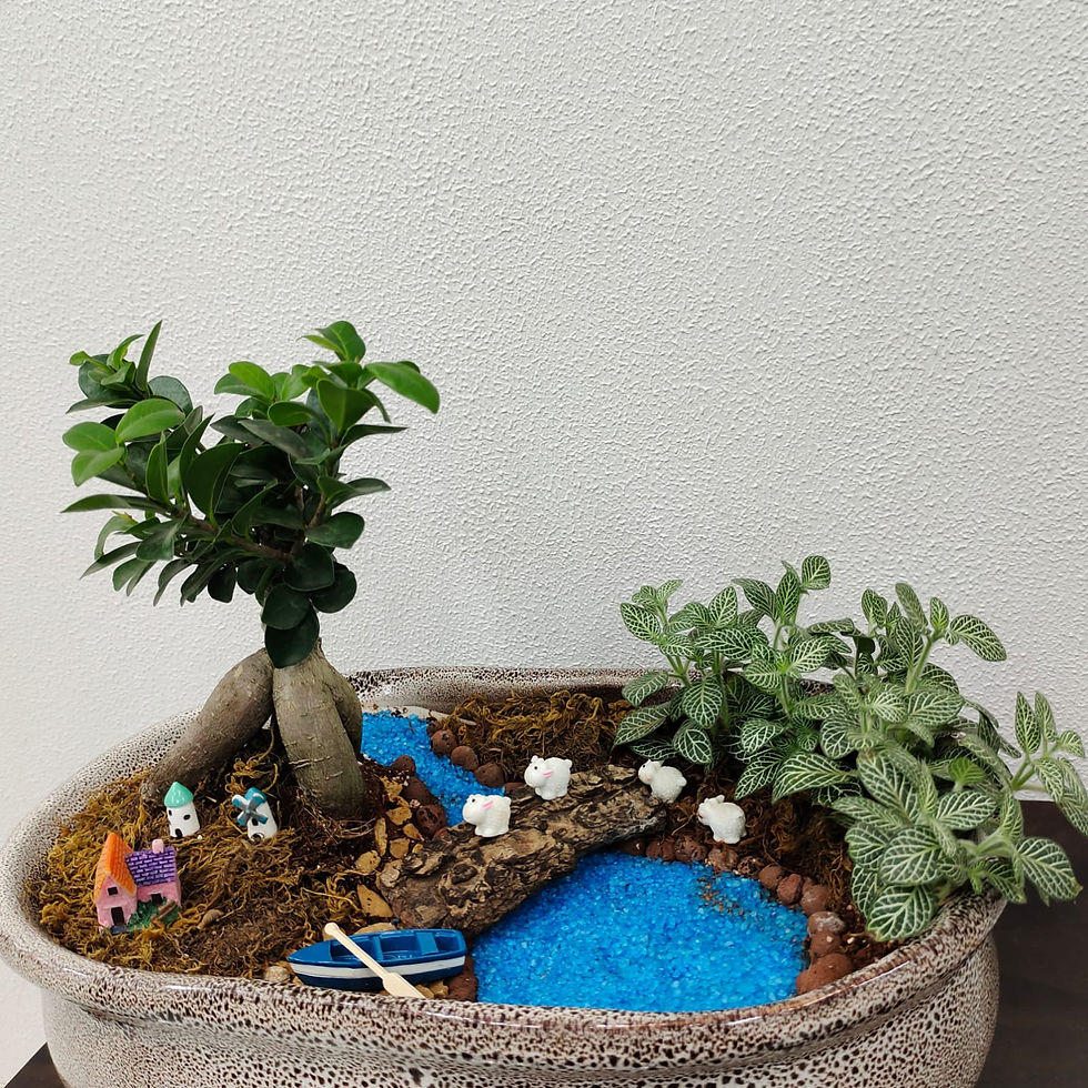 Thumbnail: Country Road - Bonsai Plant Arrangement