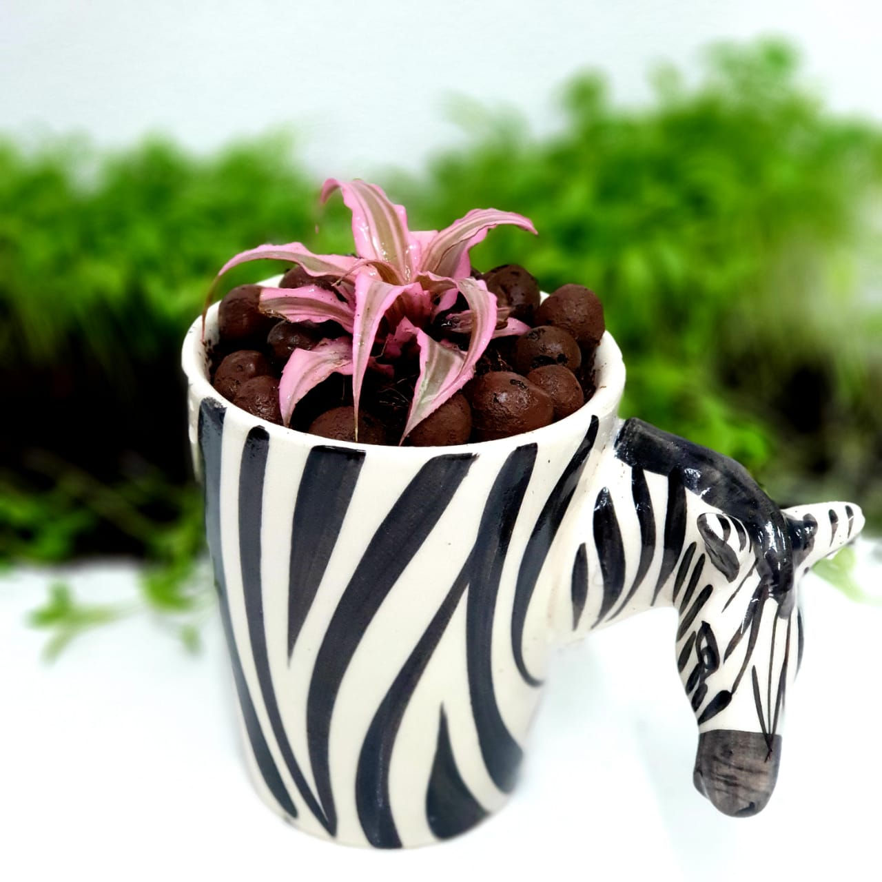 Zebra - Indoor Landscape