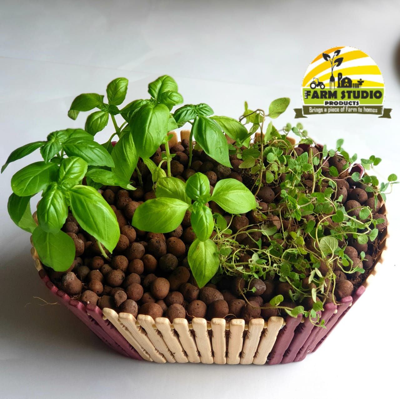 Herb Garden - 2 Herbs Variant