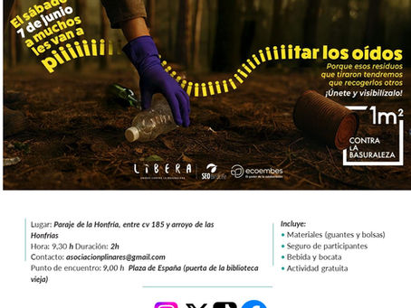 RECOGIDAS DE BASURALEZA