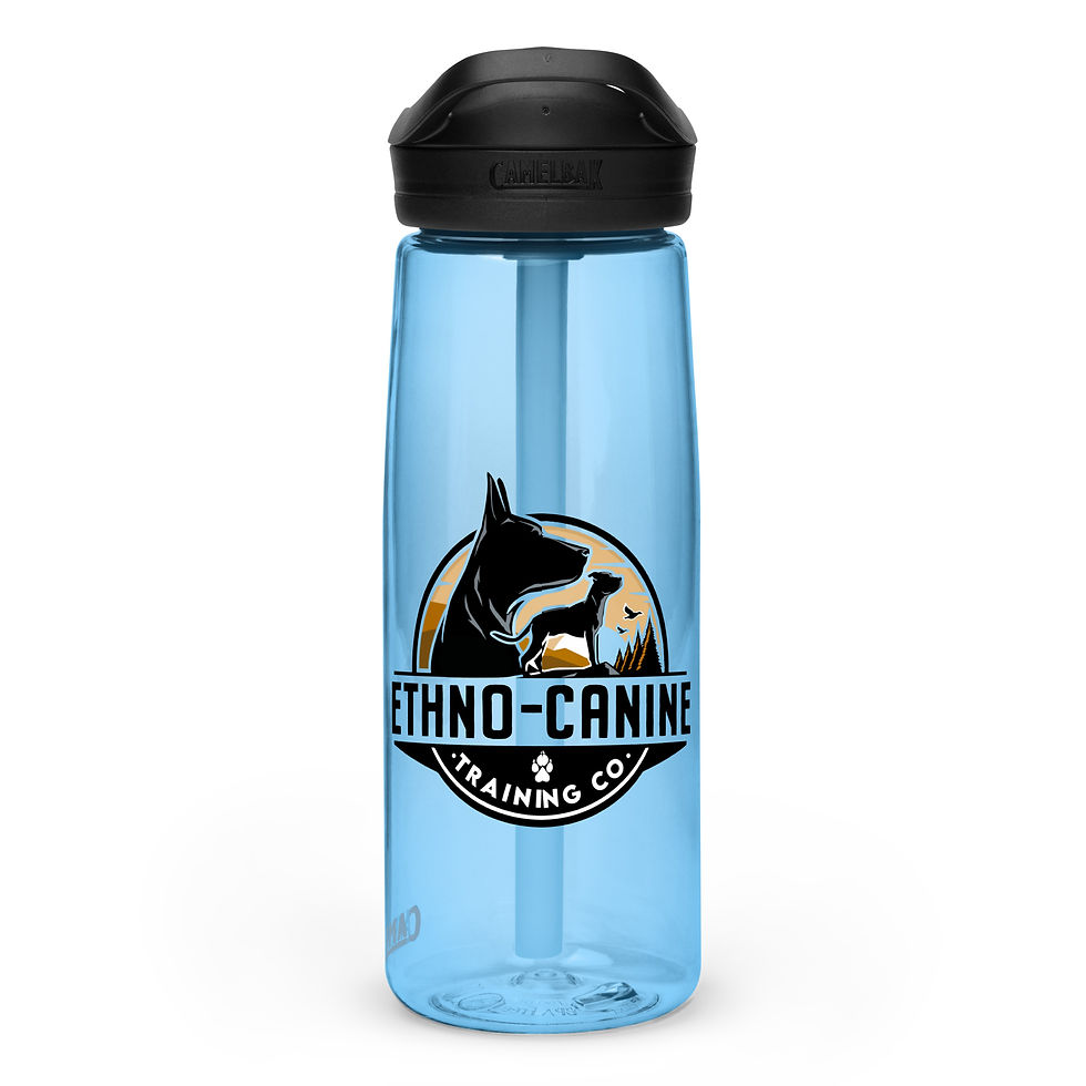 Sports Water Bottle | CamelBak Eddy®+
