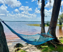 hammock.jpeg