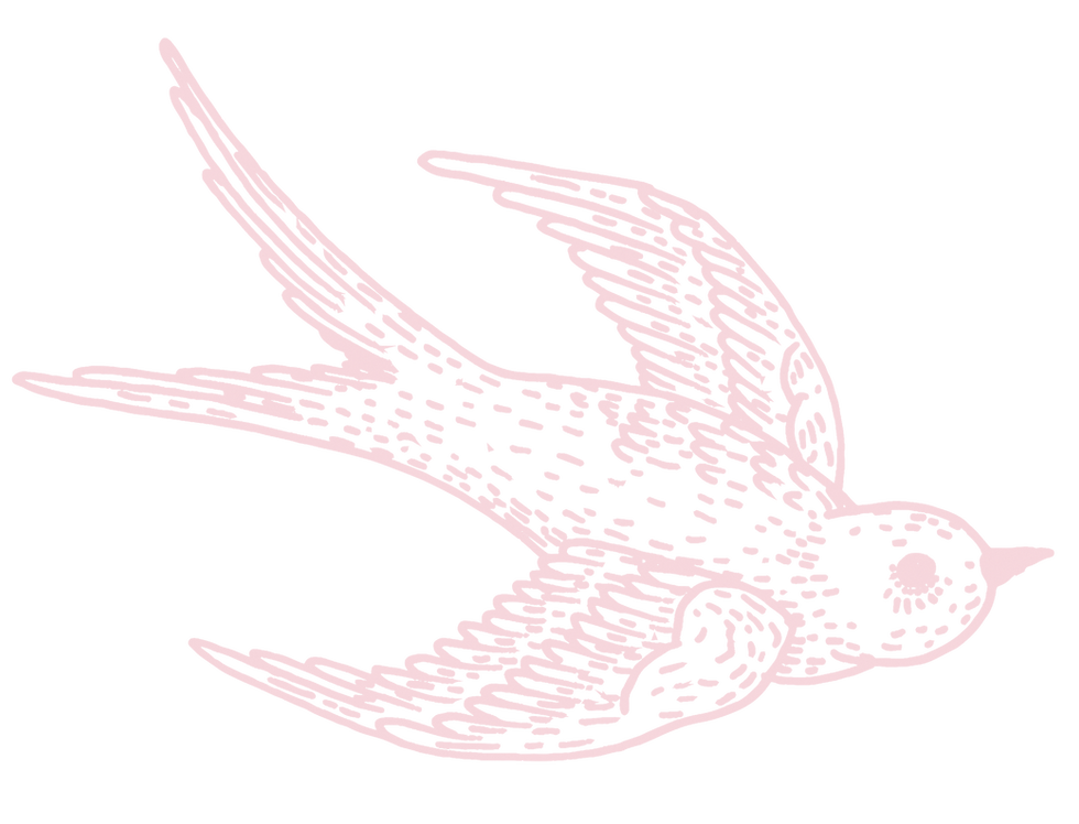 bird_weddingwebsite.png