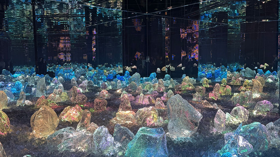 teamLab Biovortex Kyoto