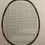 Miniaturbild: Badminton Besaitung