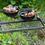Miniaturbild: Petromax Emaille Schalen 0,5l 2-er Set - Schwarz