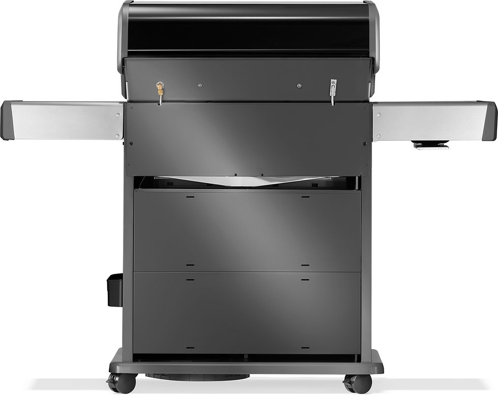 Miniaturbild: Napoleon Rogue PRO S 525 RPS525RSIBPK ***Modell 2025***
