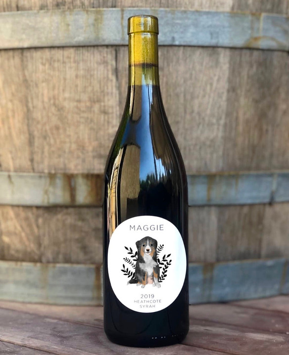 Syrah_Maggie.jpeg