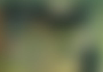 Recap: AFC Championship game