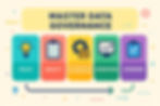 Master Data Governance