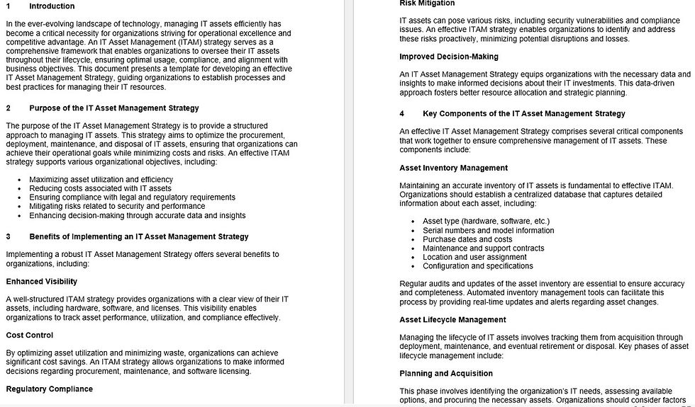 IT Asset Management Strategy Template Contents
