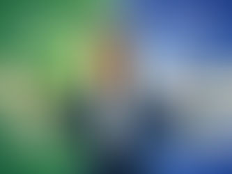 Which platform is better for large enterprises, Wrike or Smartsheet