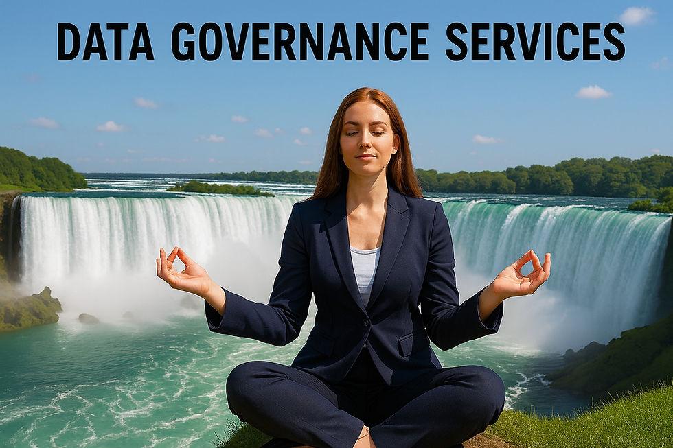 Data Governance Services