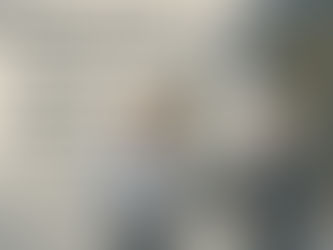 The Strategic Importance of the Assistant Project Manager