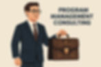 Program Management Consulting