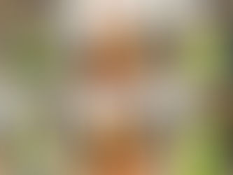 Why Construction Project Manager Positions Are in Demand