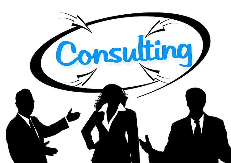 Project Management Consulting Jobs