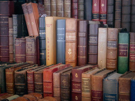 Why IT Project Management Books Matter