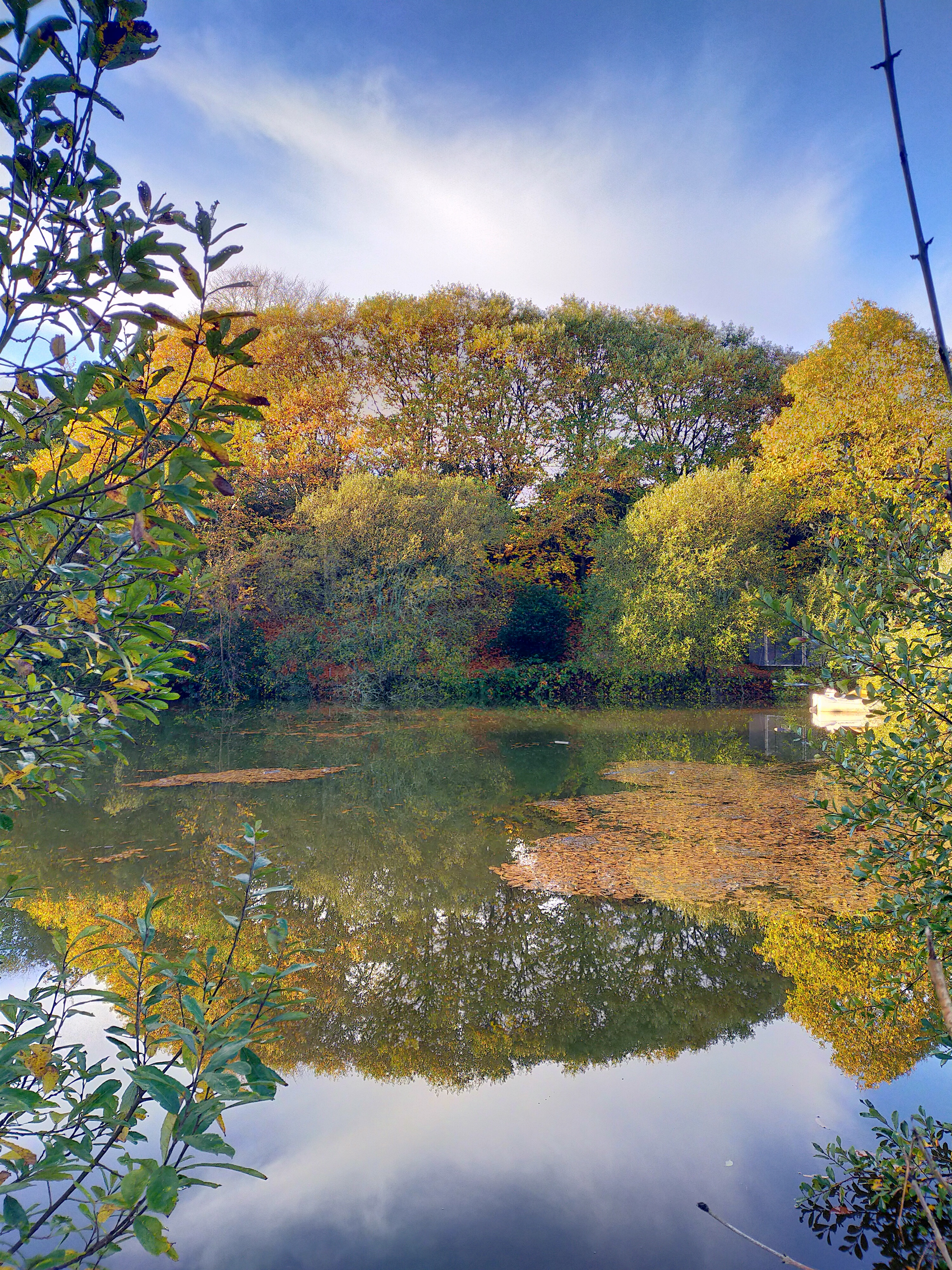 Bulle Spa - Domaine Rêves Étoilés