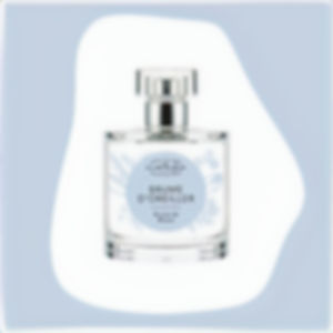 Vignette-Brume-dOreiller-Brume-de-muscs_edited.jpg