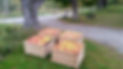 Apples_edited.jpg