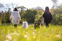 Hund Katze Tierfotografie Mannheim Foto Hund
