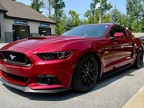 mustang.jpeg